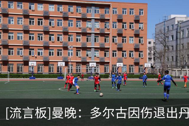 [流言板]曼晚：多尔古因伤退出丹麦队，回曼联检查，或缺席一段时间